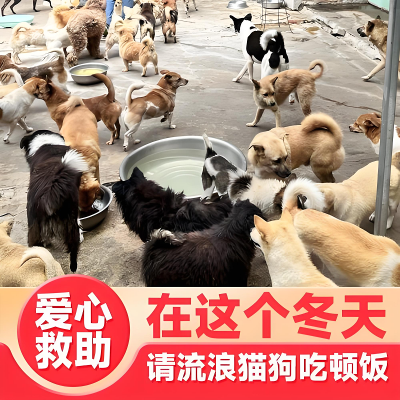 微信圖片_20241221140350