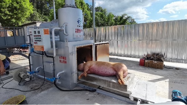 炎炎夏日如何處理病死畜禽才更環(huán)保