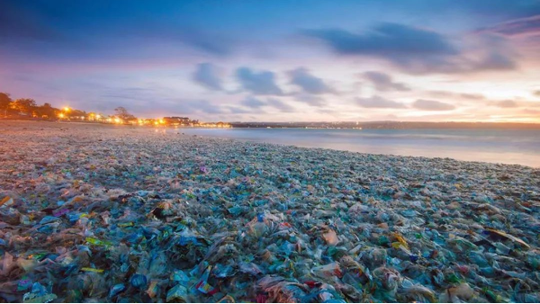 <i style='color:red'>生活垃圾污染</i>！不可忽視！