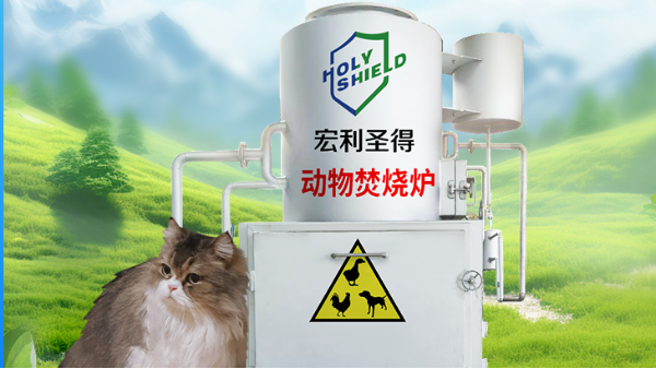 寵物經濟的璀璨十年：陪伴與愛共舞的黃金紀元