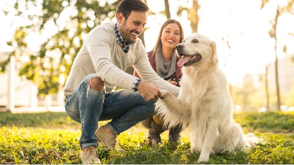 寵物創(chuàng)業(yè)