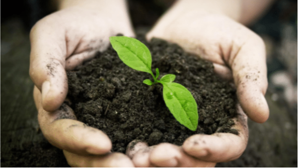 花不了多少錢！東北垃圾處理這些年，小型垃圾焚燒處理設(shè)備正當紅