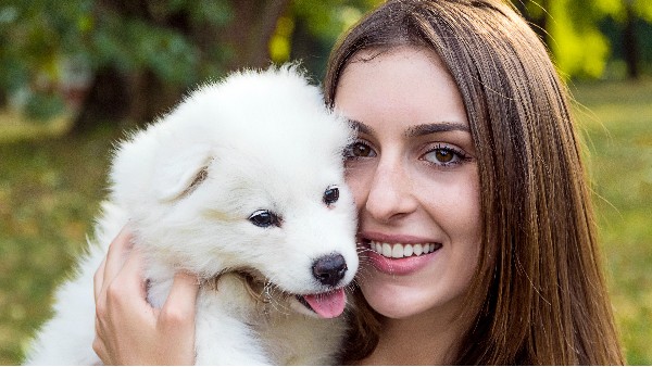 寵物殯葬服務(wù)