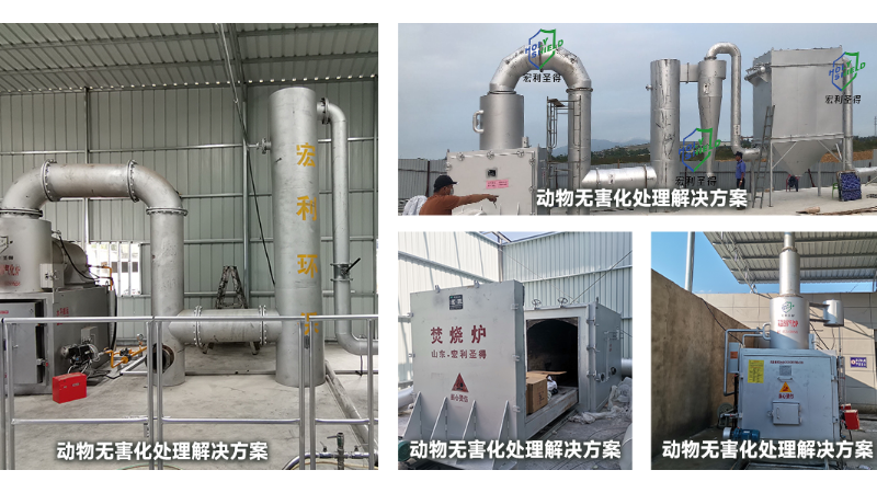 動(dòng)物無害化處理