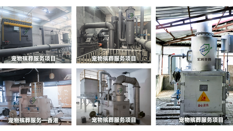 寵物全生命周期