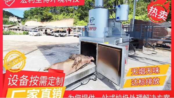 綠色養(yǎng)殖新篇章，病死畜禽高效處理方案