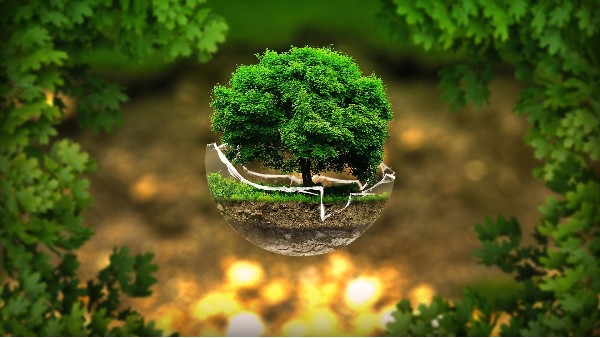 叮咚！宏利環(huán)保倡議書邀您查收！