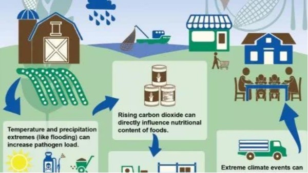 全球極端性天氣頻發(fā)！我們該如何保護地球，控制氣體排放？